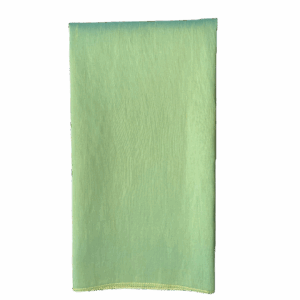 Apple Green Dupioni Napkin