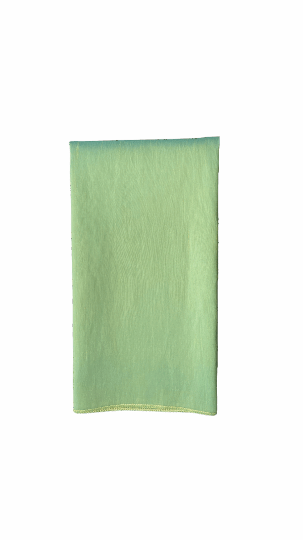 Apple Green Dupioni Napkin