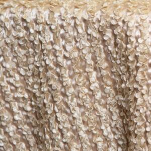 Adorable Tablecloth: Champagne