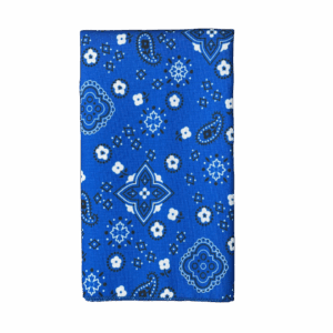 Blue Bandana Napkin